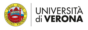 University of Verona